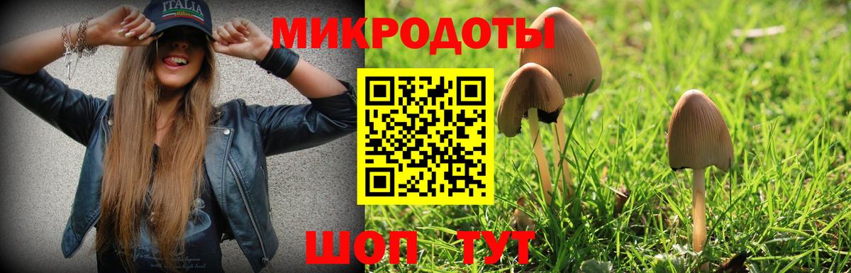 Ржев  Галлюциногенные грибы мухоморы  Вход с VPN  Псилоцибиновые грибы Magic Shrooms 
