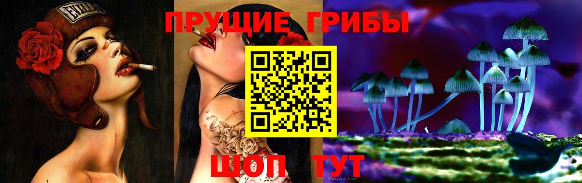 дарнет шоп  Ржев  Псилоцибиновые грибы мухоморы 